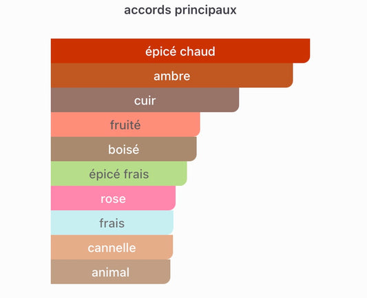 Amouage Overture Femme