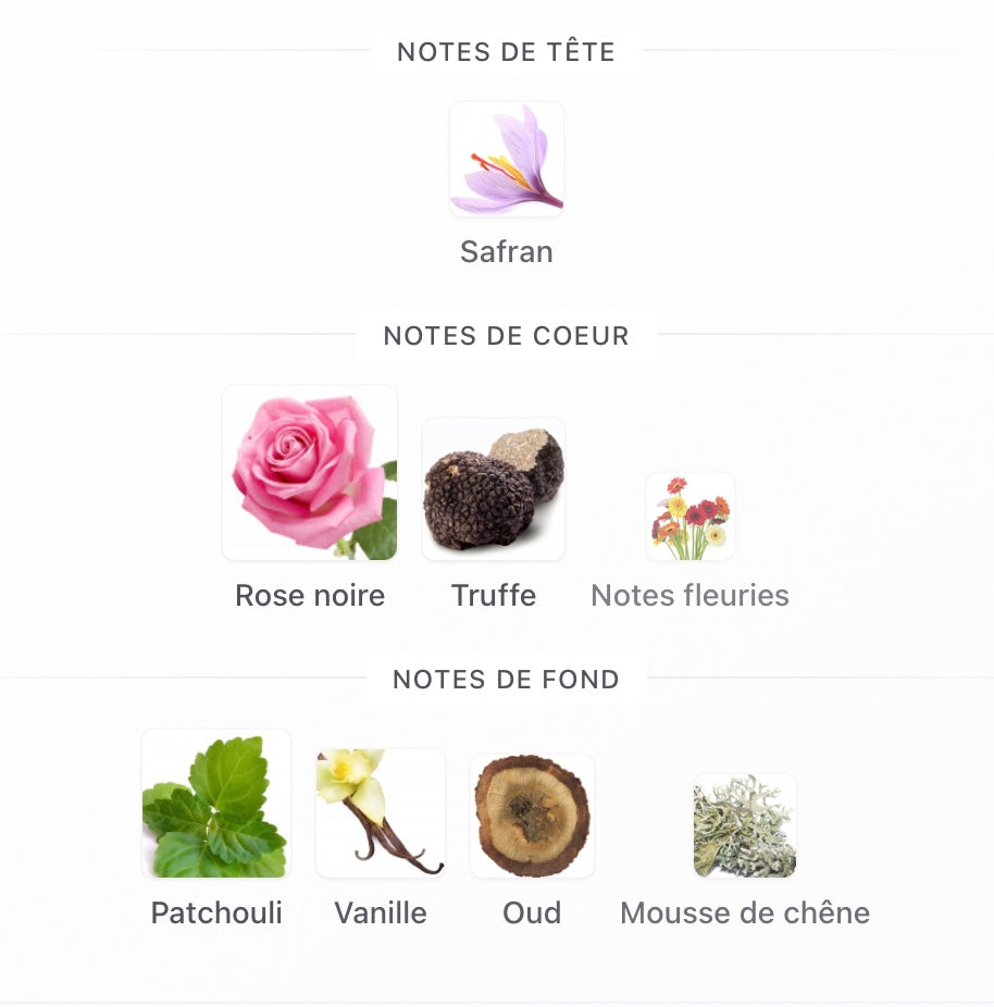 TF Noir De Noir